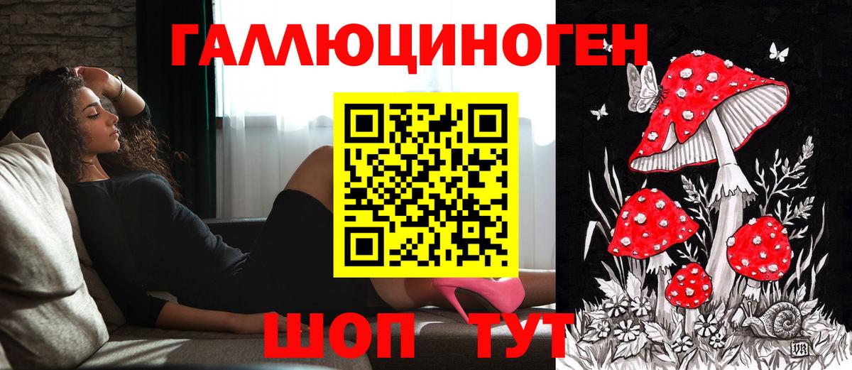 Сибай  Галлюциногенные грибы Psilocybine cubensis  Вход с VPN 